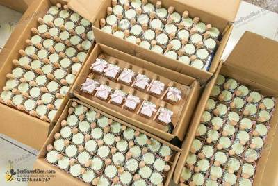 600 set quà tặng mật ong đáp lễ khách mời của cô dâu chú rể Thảo Trang & Ngọc Quí 12/10/2025- <a target='_blank' href='/qua-tang-mat-ong-hu-vuong-55ml-trang-tri-giay-kraft-boc-nap-lo-que-go-lay-mat-q8.html'>Xem sản phẩm</a>